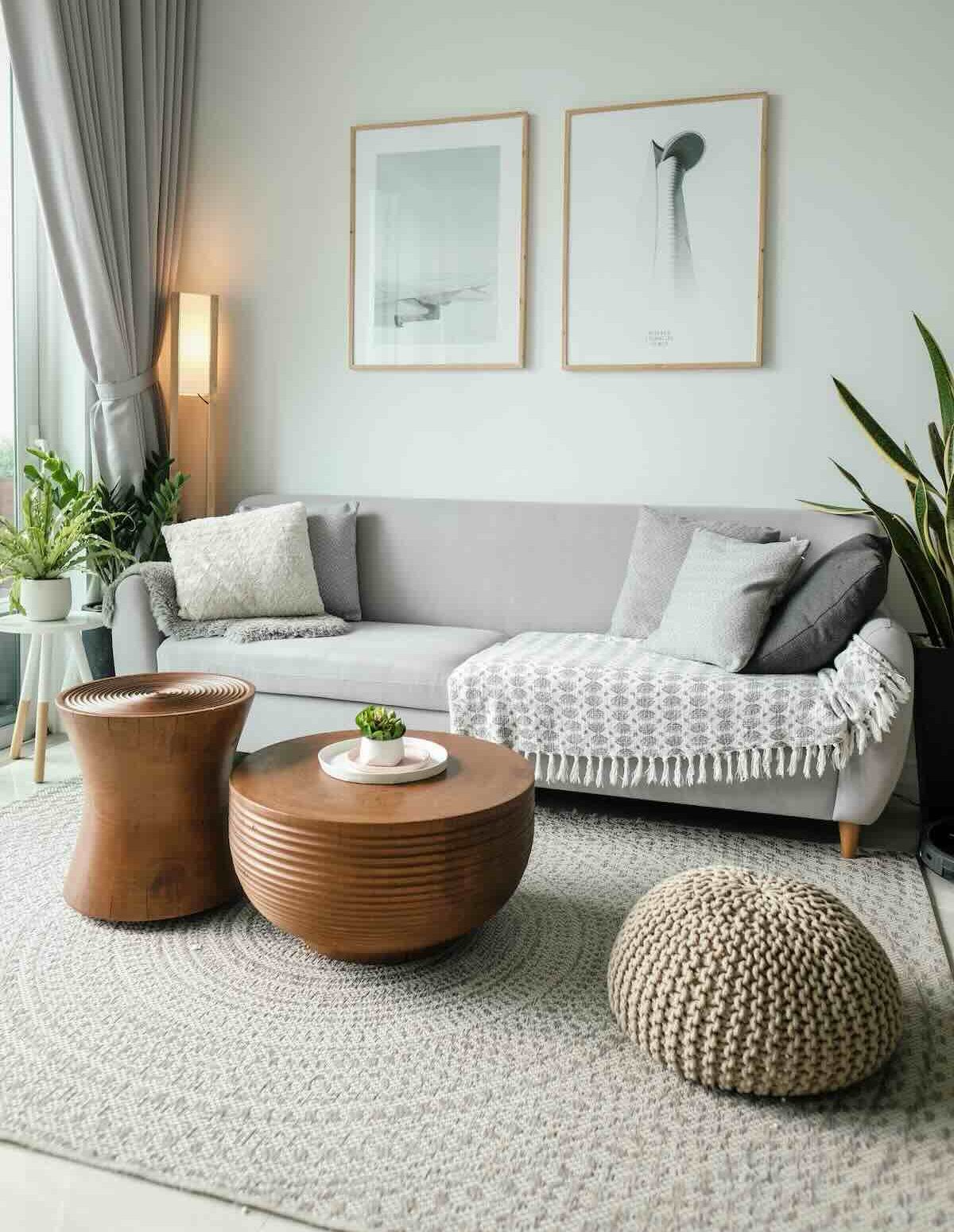 couch cleaning